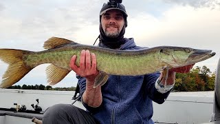 Muskies - Early October