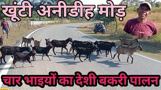 VILLAGE GOAT FARM :- चार भाइयों का देशी बकरी पालन , चार बकरियों से 40 बकरी तक का सफर , KHUNTI JK