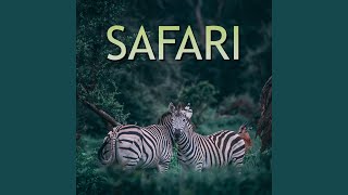 Safari