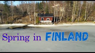 Spring begins in Finland / Hачало Весны