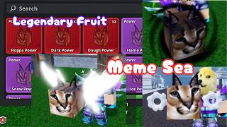 I Rolled 6 Legendary Fruit With 3M Yen + Dough Showcase In Meme Sea | ROBLOX | MEME SEA