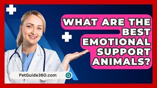 What Are The Best Emotional Support Animals? - PetGuide360.com