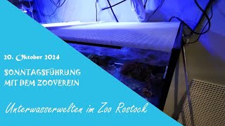 Zooführung Unterwasserwelten im Zoo Rostock 20.10.2024