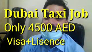 Uae driving job free lisence  || Dubai directory