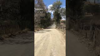 Toyota GR Yaris Rally1 | Rally Mexico 2023 | Before Power Stage | Sebastien Ogier