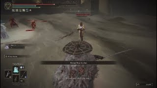 Beating npc's boss fight and flower