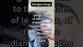 The Surprising Truth About Shotgun Gauges #facts