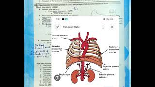 thoracic wall anatomy|past paper anatomy| fcps part-1 preparation forum