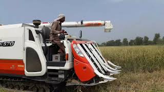 Kubota ARN 570 کبوٹا/and کبوٹا |SR 55 Rice harvesting| 🌾 day 3| seed |LP 2 hybrid|