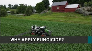 OHBinBusters S4:E1 - Why Apply Fungicide?