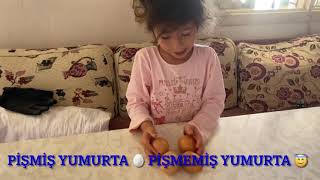 YUMURTA 🥚 PİŞMİŞ Mİ ÇİĞ Mİ? Nasıl ayırt ederiz? Kesin cevap✅