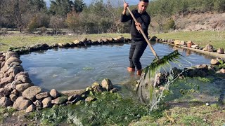 BALIK HAVUZUNDAN 50KG YOSUN ÇIKTI VE RÜTİN ÇİFTLİK İŞLERİNE DEVAM