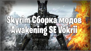 ОДНА ИЗ ЛУЧШИХ СБОРОК МОДОВ НА SKYRIM SE | Skyrim Awakening SE Vokrii