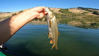 Russian river fishing. Pike minnow mania. ￼2024