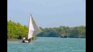 ছবির মত সুন্দর দ্বীপ সোনাদিয়া