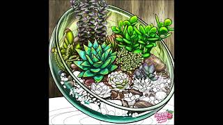 Colorful Succulents: A Relaxing Coloring Experience