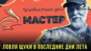 Ловля щуки в последние дни лета // Уловистых дел мастер