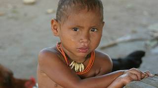 Amazon tribes Peru, Contacted natives, Gas Camisea. Pueblos nativos. Convenio OIT 169