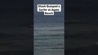 Shark Bumped a Surfed at Agate Beach. #oregoncoast  #shark