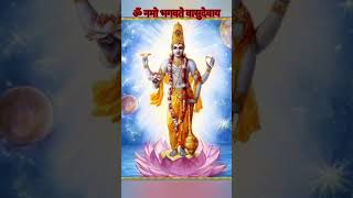 ||Om namo bhagavate vaasudevaay|| #vishnu #krishna  #vishnumantra #shorts