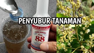 Baru tau bumbu dapur ini bisa menyuburkan tanaman