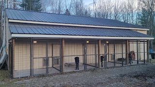 DIY: How to build a dog kennel, dog box and dog run! #DIY #howto #dogkennel #dog #diydogkennel