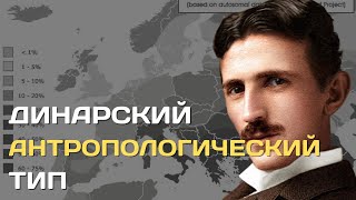 Динарский антропологический тип | Антропологический типы Европы