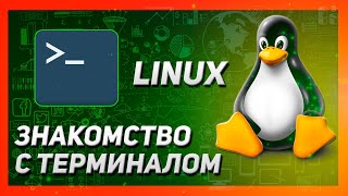 ОСНОВЫ LINUX | ТЕРМИНАЛ, ПЕРВЫЕ КОМАНДЫ | КУРС ДЛЯ НАЧИНАЮЩИХ