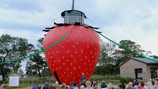 Giant Strawberry Opening Ceremony