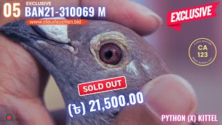 BAN21-310069 M (EXCLUSIVE)!!! Python (x) Kittel | Nest Sister winner 21TH Prize!!!