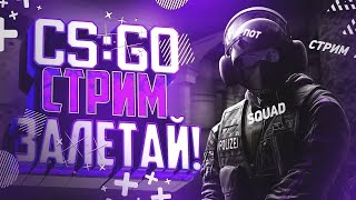 Стрим CS:GO