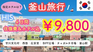 【 釜山旅行１日プラン🇰🇷 】HIS最安値￥9,800⁉️往復費＆ホテル込み（４日間）の超激安ツアーに行ってみた！甘川文化村｜BIFF広場｜チャガルチ市場｜西面｜広安里｜韓国旅行【番外編】娘が行く❗️