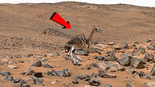 NASA's Mars Rover Perseverance Send Most Spectacular Shocking Real Footage of Mars - Sol 1153