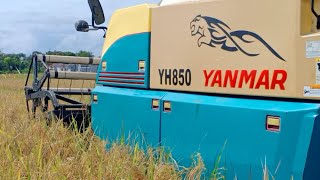 YANMAR YH 850 Combi Padi Super Cepat dan Kuat #408