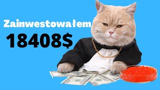 Zainwestowałem 18 400$ w akcje. Jak wygląda moje portfolio? Inwestowanie dla pasywnego dochodu