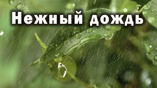 Шум дождя – это колыбельная для вас