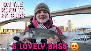 BASS & FLOUNDER Fishing RIVER ITCHEN Live! | Sea Fishing UK | River Fishing UK