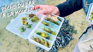 PÊCHE du BAR à la MOUCHE en BRETAGNE par Jean Baptiste Vidal 🦀 [ VERSION COURTE ]