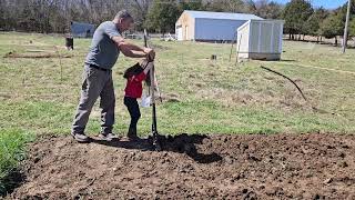 Spring planting