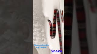 Snake