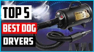 Top 5 Best Dog Dryers in 2022 Reviews