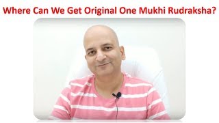 Where Can We Get Original One Mukhi Rudraksha ?