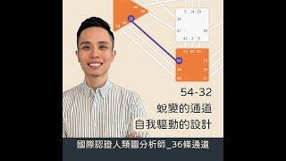 人類圖｜短影片｜54-32蛻變的通道/自我驅動的設計！#shorts #人類圖 #36條通道 #蛻變的通道 #自我驅動的設計