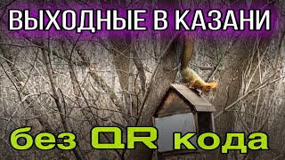 Как провести время когда введен режим ЛОКДАУН? Прогулка в ПАРК Горького Казани/ Где БЕЛКИ?