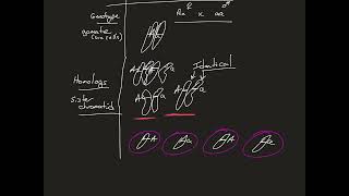 mendelian genetics and intro to non