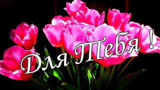 С ДОБРЫМ УТРОМ 19 Ноября!🌼Желаю Самого Доброго Солнечного Утра!🌼   КРАСИВАЯ ПЕСНЯ ДЛЯ ТЕБЯ 🌼