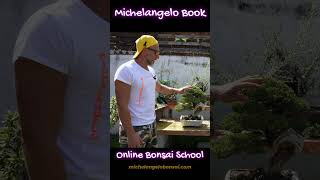 Michelangelo Book International Online bonsai School, 5 languages. #bonsaicourses #bonsaischool