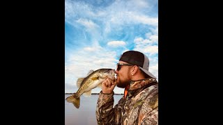 Surprisingly Good Results Cold Weather Bass Fishing!!! (Amazing Underwater Footage)