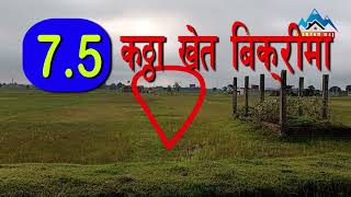 7.5 कठ्ठा खेति बिक्री मा, मधेलि वाड न 1 # Haresh kuamr rai/ East Nepal real estate, Iatahari