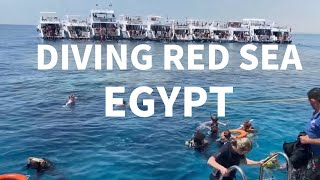 Scuba diving/snorkeiling 3 sites  in Sinai Dahab /Sharm El Sheikh ,Egypt 4k 埃及红海 沙姆沙伊赫西奈达哈卜/西奈半岛潜水